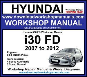 free full download of 2007 hyundai santa fe 22 crdi automatic repair manual Epub