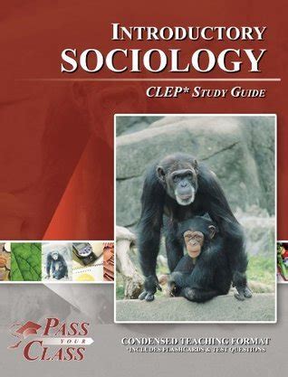 free sociology clep study guide PDF
