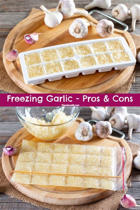 freezing garlic