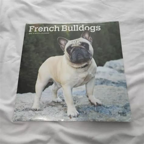 french bulldogs 2013 square 12x12 wall calendar multilingual edition Reader
