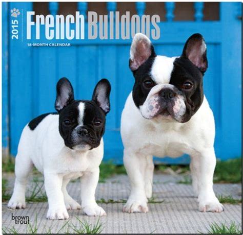 french bulldogs 2015 square 12x12 multilingual edition Reader