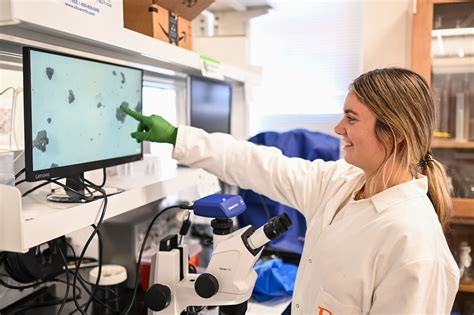 freshman research initiative