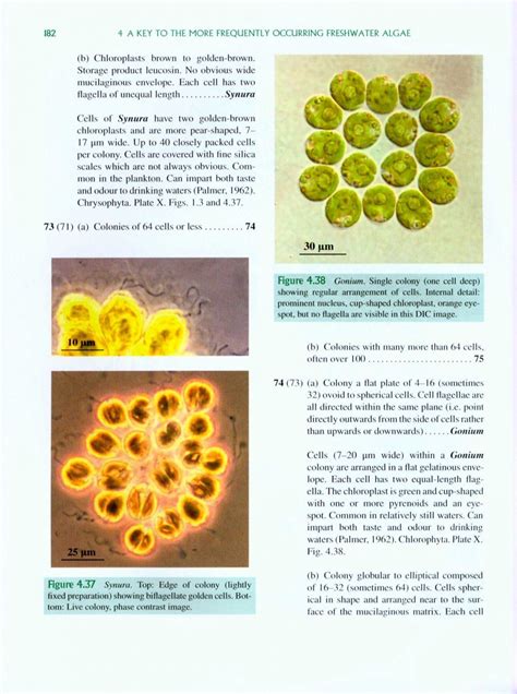 freshwater algae identification enumeration and use as bioindicators Epub