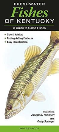 freshwater fishes kentucky guide game Doc