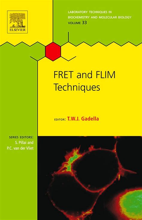 fret and flim techniques laboratory techniques in biochemistry and molecular biology Epub