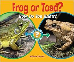 frog or toad? how do you know? which animal is which? Reader