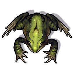 frog token osrs