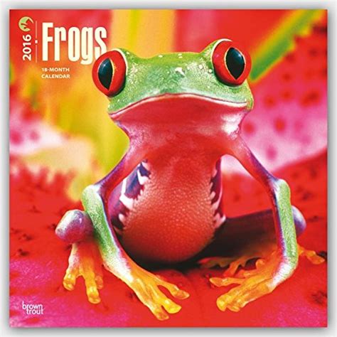 frogs 2016 square 12x12 Doc