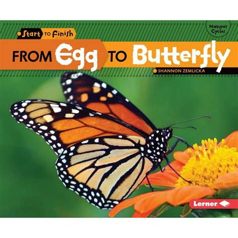 from egg to butterfly start to finish second Kindle Editon