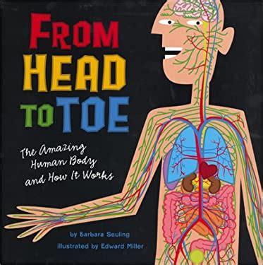 from head to toe the amazing human body and how it works Kindle Editon