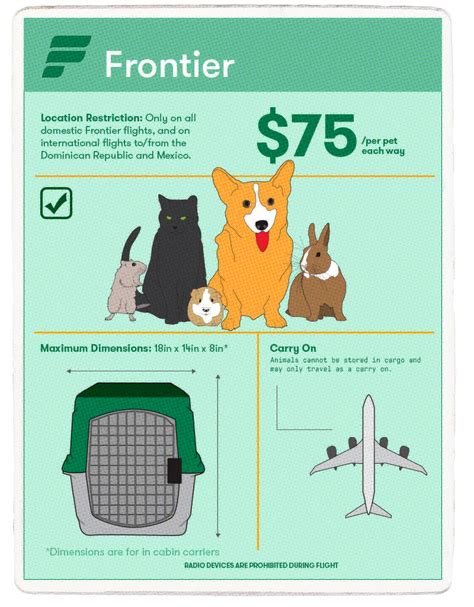 frontier cat policy