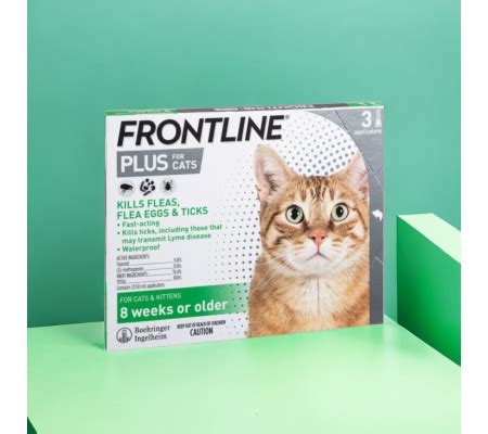 frontline 貓：解鎖寵物護理的新境界