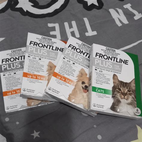 frontline plus 貓，健康守護不間斷！