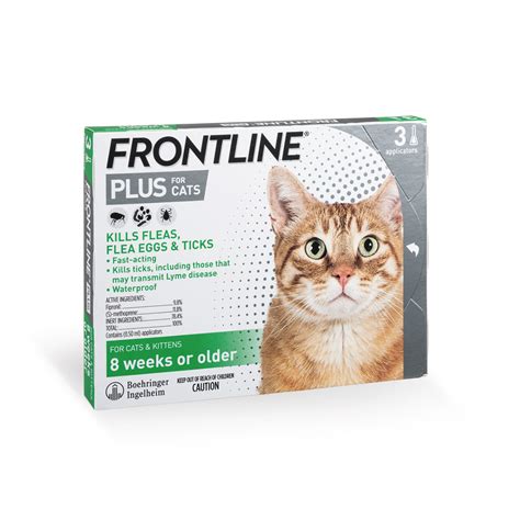 frontline plus 貓：守護毛小孩免於跳蚤、蜱蟲侵擾的秘密武器