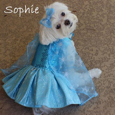 frozen elsa dog costume