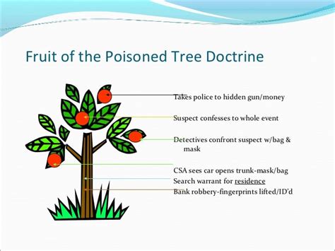 fruit of a poisoned tree Epub
