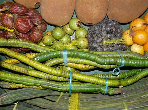 frutas da Amazônia