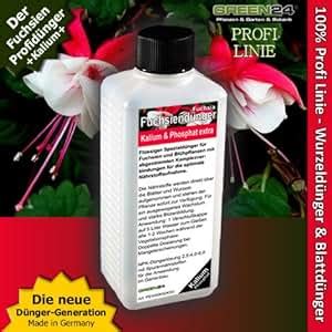 fuchsia fertilizer