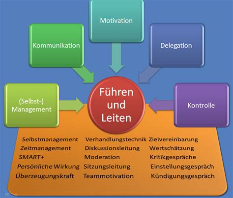 fuhren und leiten in psychiatrischen Reader