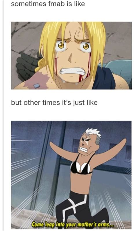 fullmetal alchemist brotherhood memes