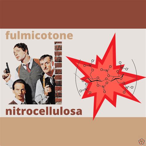 fulmicotone fulmicotone Doc