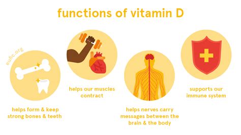 function of vitamin a and d