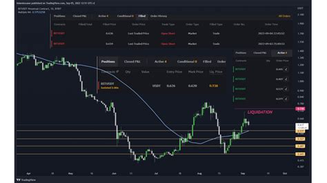 fundamental btc