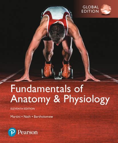 fundamentals anatomy and physiology workbook answer key Ebook Epub