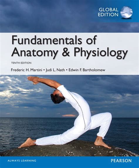 fundamentals of anatomy and physiology