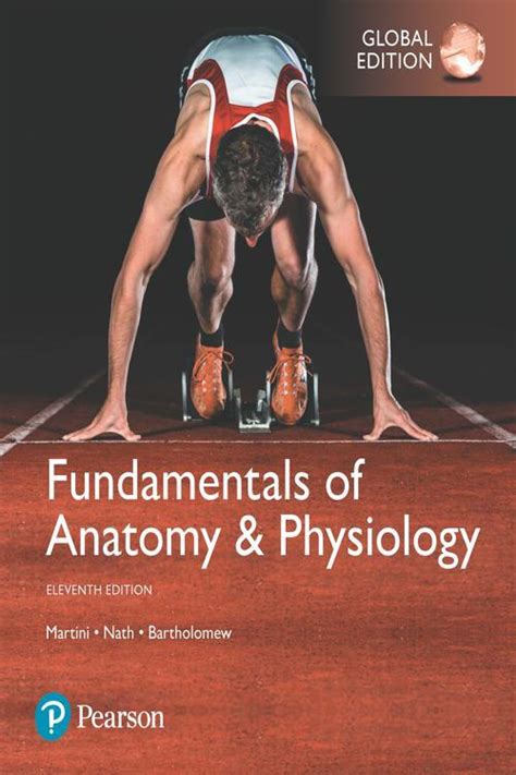 fundamentals of anatomy and physiology martini pdf free download Doc