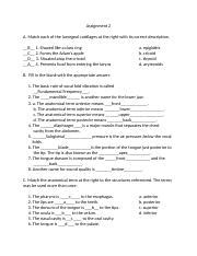 fundamentals of phonetics assignment answers Doc