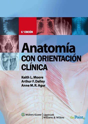 fundamentos de anatoma con orientacin clnica spanish edition Epub