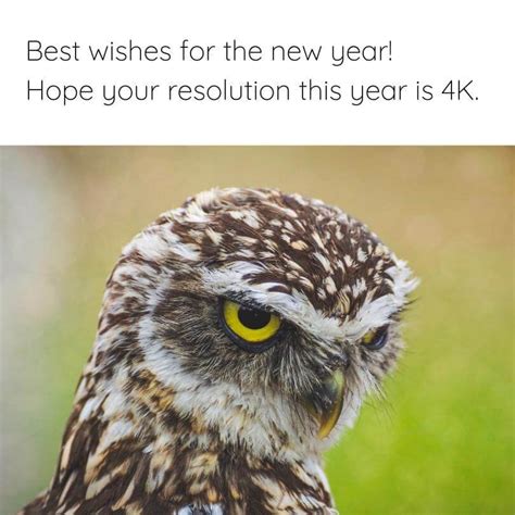 funny 2024 sayings