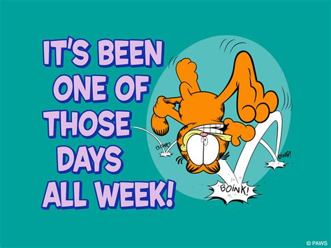 funny quotes about the month of may