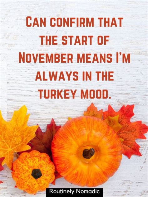 funny quotes for november