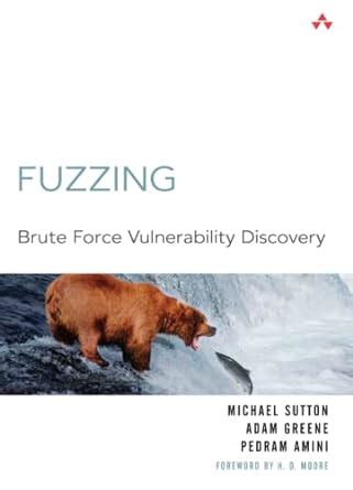 fuzzing brute force vulnerability discovery Reader