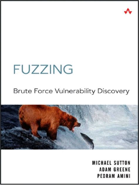 fuzzing brute force vulnerability discovery Reader