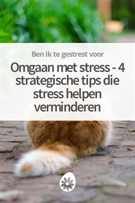 ga goed om met stress Doc