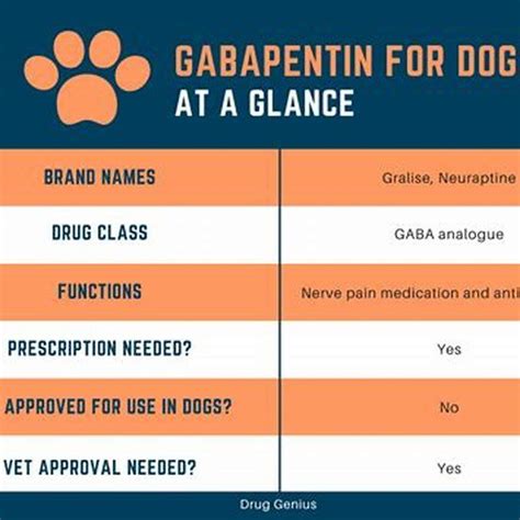 gabapentin dose for cats