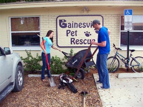 gainesville animal pound