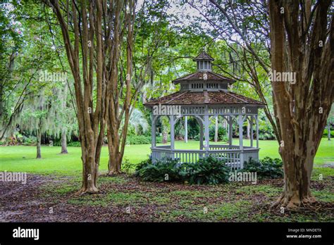 gainesville kanapaha botanical gardens