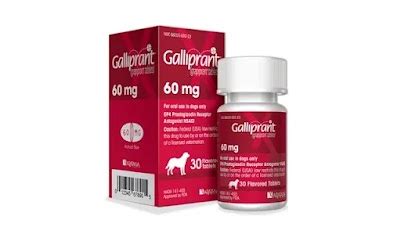 galliprant side effects in dogs