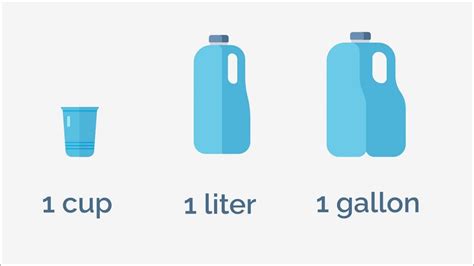 gallon vs pound