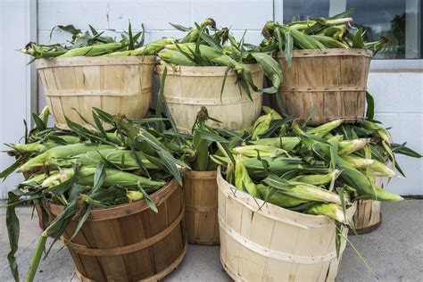 gallons in a bushel