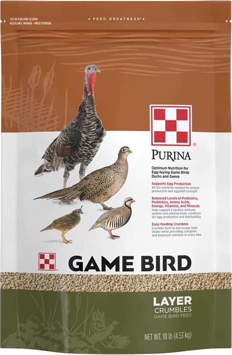 game bird feed