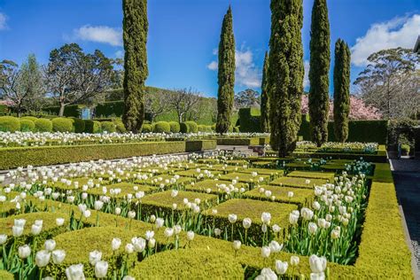 garden at stonefields Reader