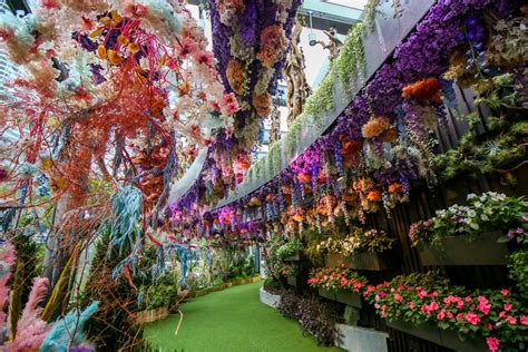 garden by the bay floral fantasy