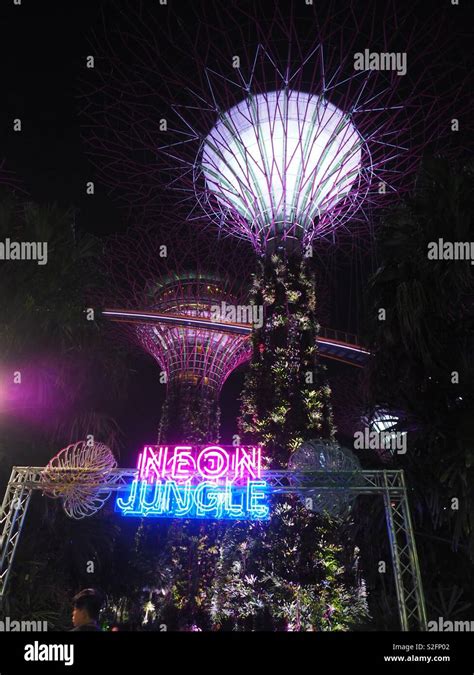 garden by the bay neon jungle