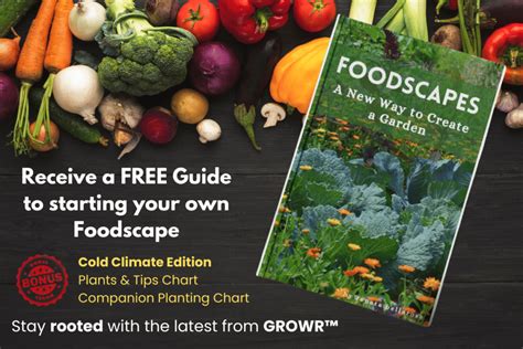 garden-patch-foods-solutions Ebook Epub