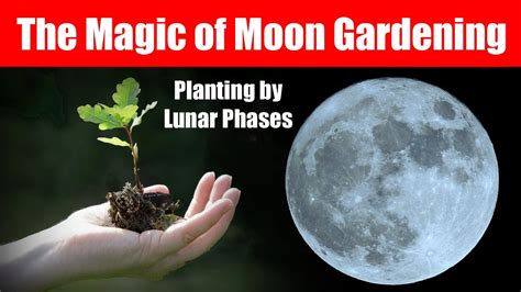 gardening and planting by the moon 2013 Kindle Editon